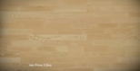 ash_prima_3_strip