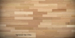 tasmanian_oak